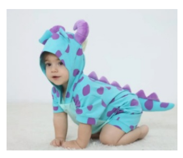 Sulley Monsters Inc Baby Romper (One Piece)